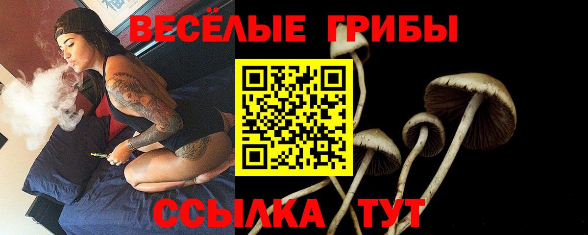 Псилоцибиновые грибы мухоморы  Вход с VPN  купить наркотики сайты  Балтийск 